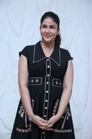 Lavanya Tripathi Sathi Leelavathi Interview Photos